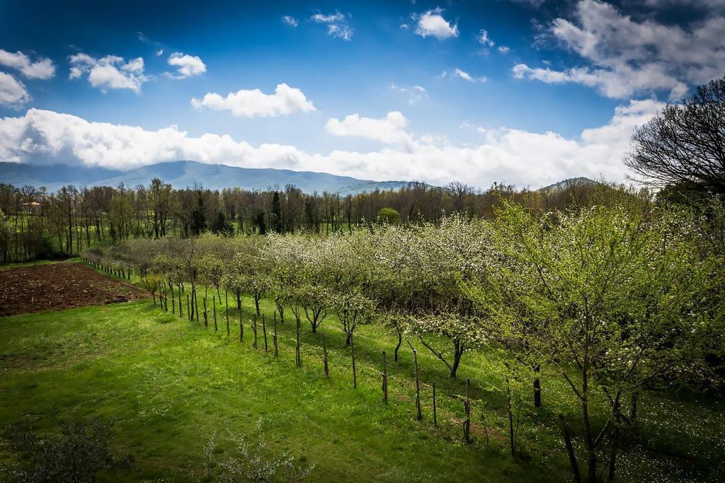 La Dolce Mela Villa Buonabitacolo Екстериор снимка